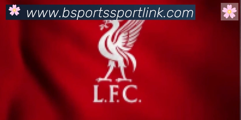 Bsports官网合作伙伴
