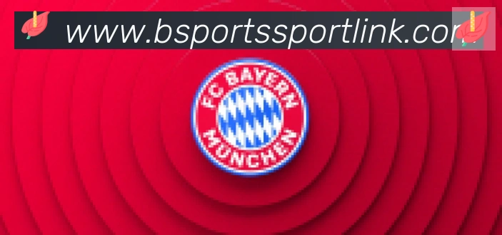 Bsports官网合作伙伴