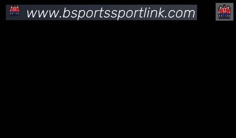 Bsports官网合作伙伴